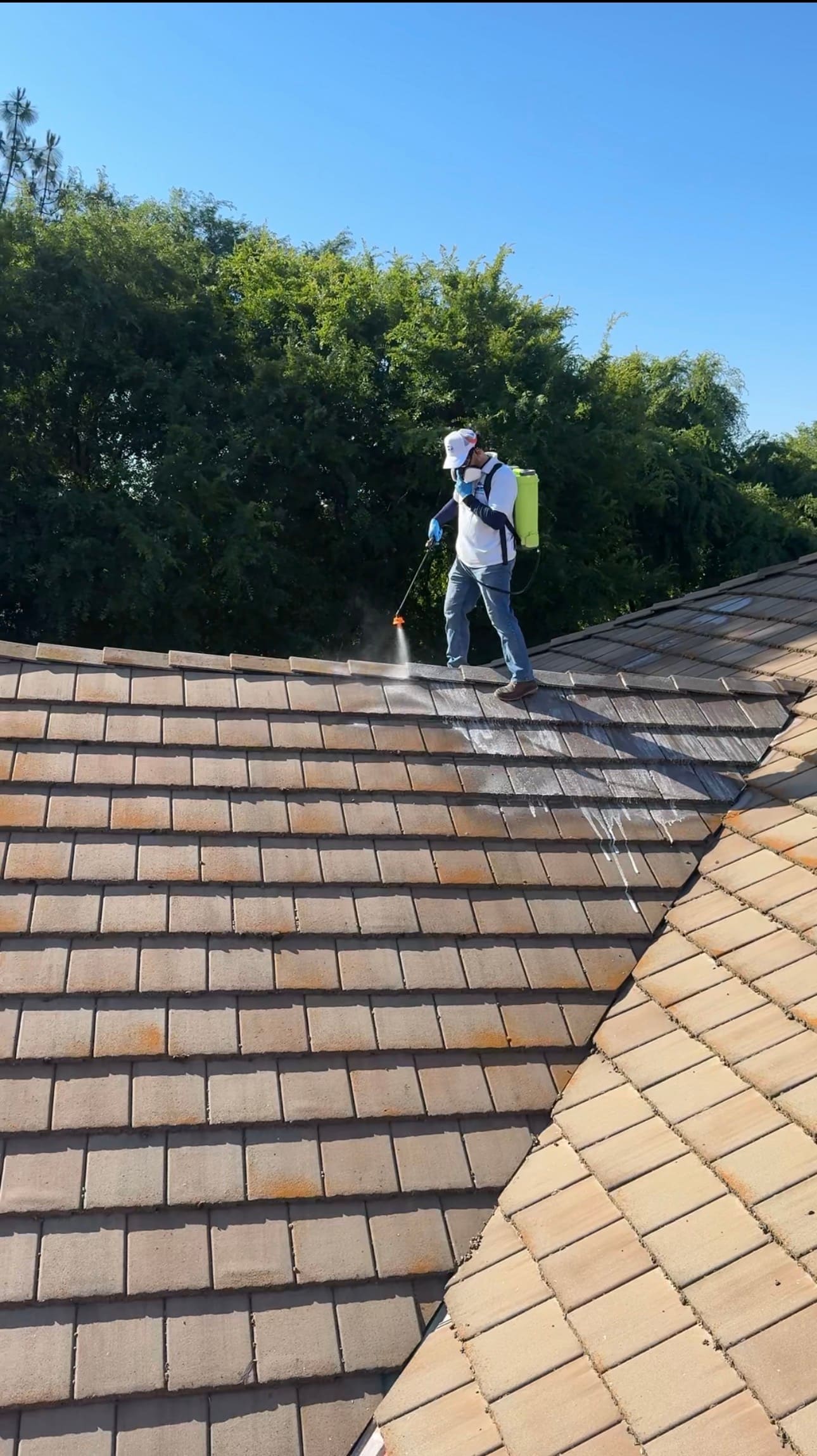 LUCENT cleaning result