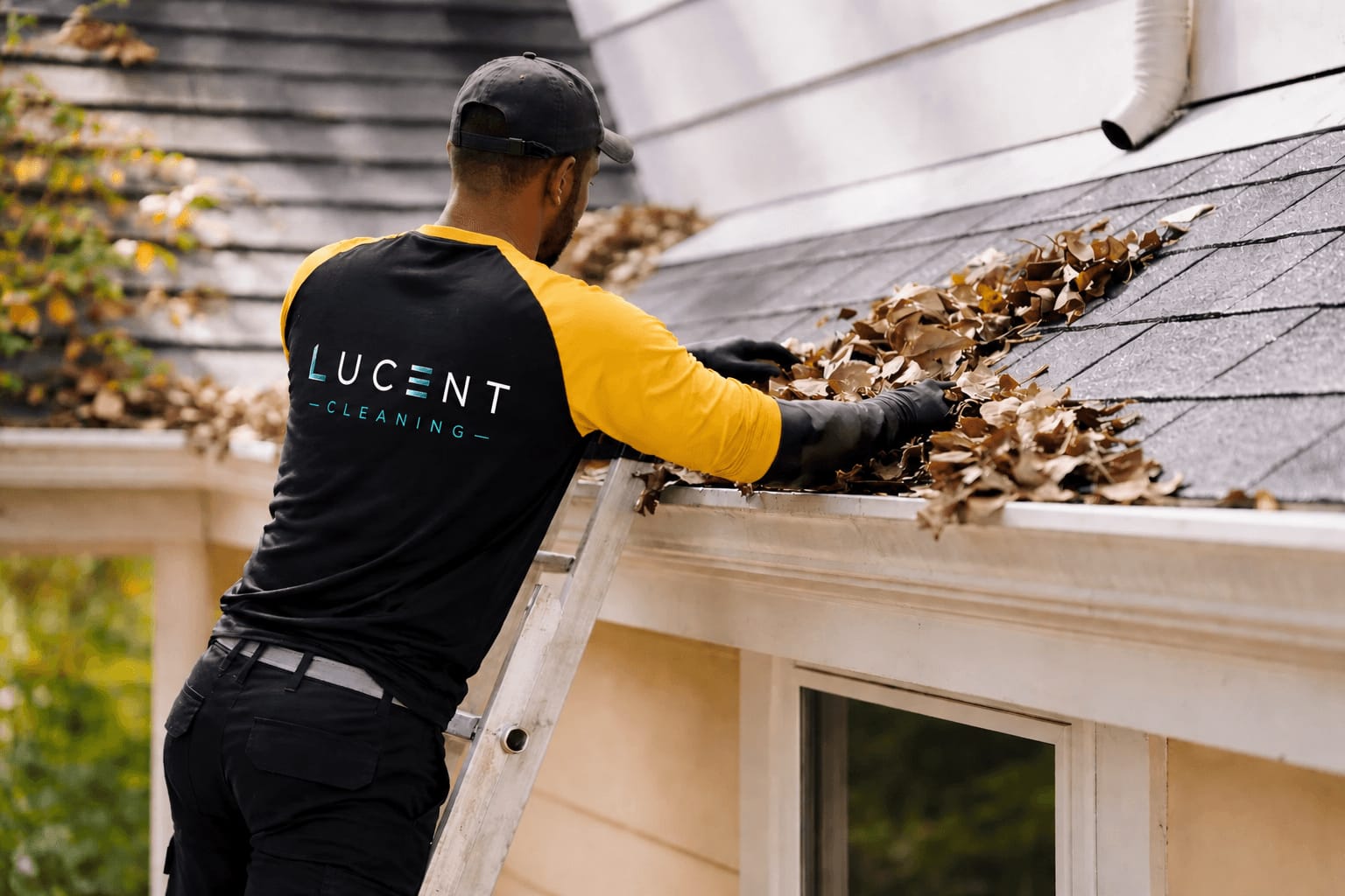 Gutter Cleaning