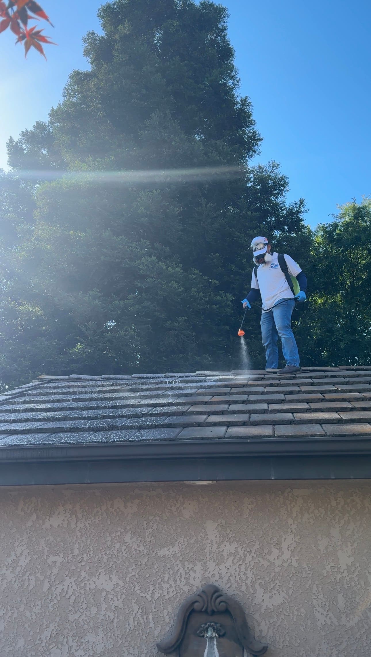 Pressure Washing / Soft Washing by LUCENT in Clovis